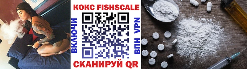 Кокаин FishScale  купить закладку  Верхняя Пышма 