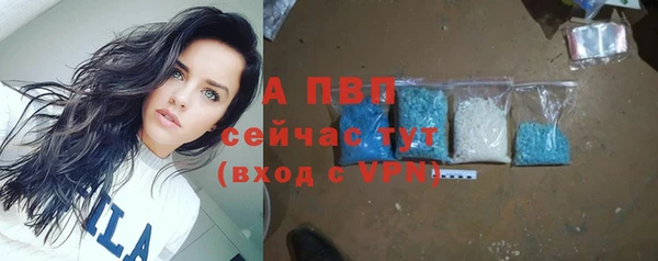 ГАЛЛЮЦИНОГЕННЫЕ ГРИБЫ Белокуриха