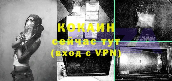 ГАЛЛЮЦИНОГЕННЫЕ ГРИБЫ Белокуриха