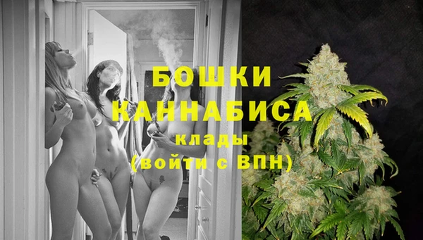 ГАЛЛЮЦИНОГЕННЫЕ ГРИБЫ Белокуриха