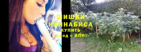 ГАЛЛЮЦИНОГЕННЫЕ ГРИБЫ Белокуриха