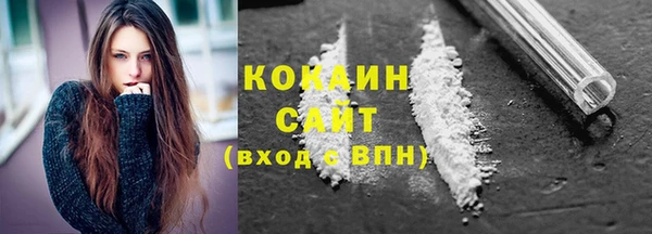ГАЛЛЮЦИНОГЕННЫЕ ГРИБЫ Белокуриха