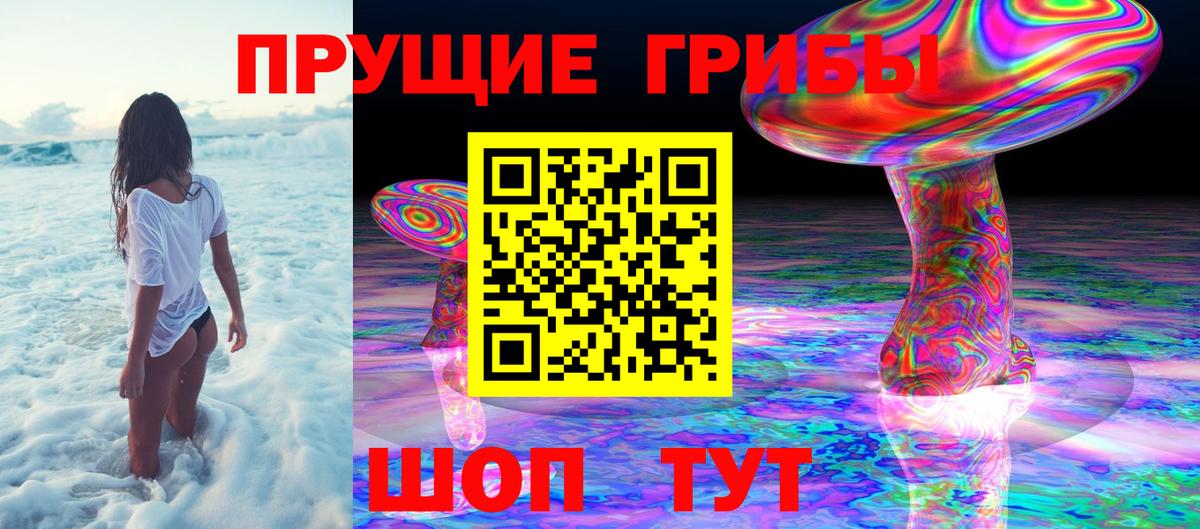 Верхняя Пышма  Псилоцибиновые грибы Psilocybine cubensis  Галлюциногенные грибы GOLDEN TEACHER  Вход с VPN 